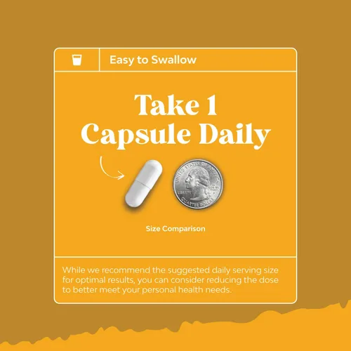 Vista 8 de Paquete de quercetina pura con suplemento de bromelina + cápsulas de 500 mg para apoyo inmunológico y respiración y zinc de 50 mg – Mejora