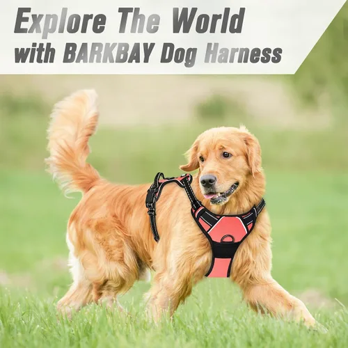 Vista 83 de BARKBAY - Arnés para perro sin tirones con clip frontal, material resistente y reflectante, asa de fácil control para pasear perros grandes