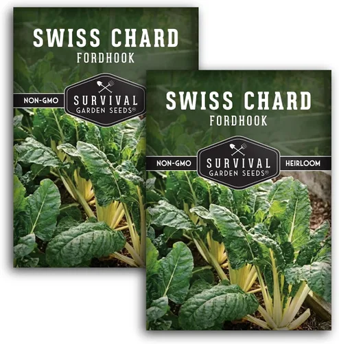 Vista 10 de Fordhook - Semillas de acelga gigante para plantar, acelga verde reliquia con tallos blancos, cultivo de clima fresco o cálido para jardines