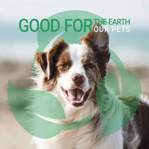 Vista 7 de Green Groom - Champú eliminador de olores para perros, 1 galón, fabricado con Odortrol, todos los ingredientes naturales, rico en antioxidantes