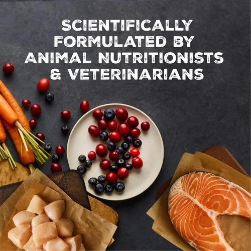 Vista 7 de Blue Buffalo Wilderness Wild Delights Carne Morsels - Alimento húmedo para gatos adultos, con alto contenido de proteínas y sin granos