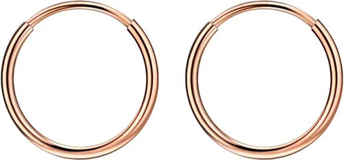 Vista 14 de FANSING Aretes de aro para mujer, aretes de aro de cartílago de moda, aretes de acero quirúrgico para hombre