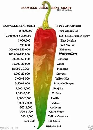 Vista 4 de 25 semillas de Kona roja hawaiana - Capsicum frutescens, pimienta de reliquia extremadamente caliente.
