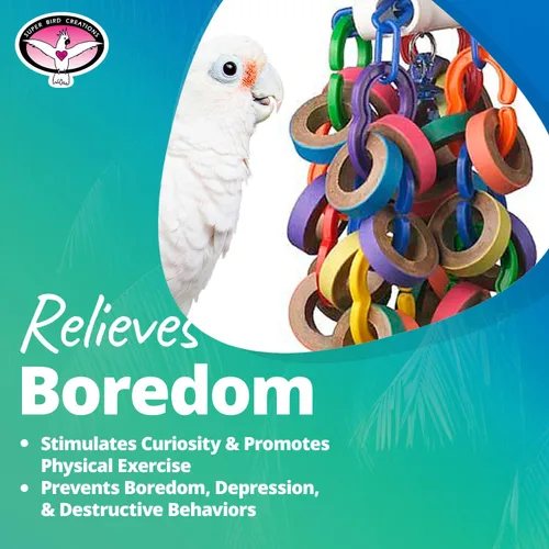 Vista 6 de Super Bird Creations SB1107 Bagel Cascade Bird juguete, tamaño grande, bagels recargables, 15 "x 4.5