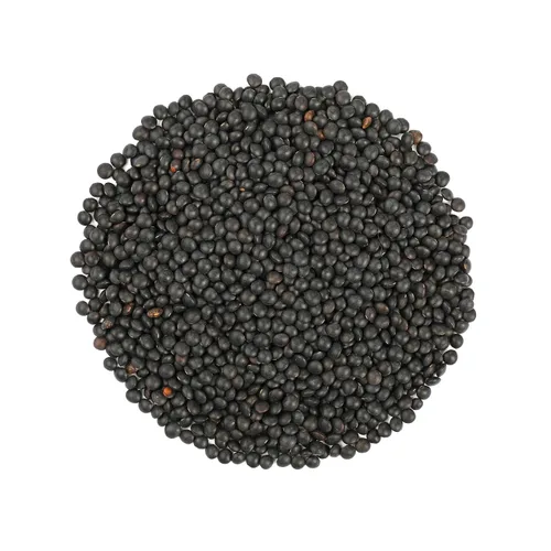 Vista 4 de Food to Live Lentejas negras orgánicas, 8 onzas, sin OMG, legumbres secas enteras, crudas, germinables, kosher, veganas, legumbres a granel, negro