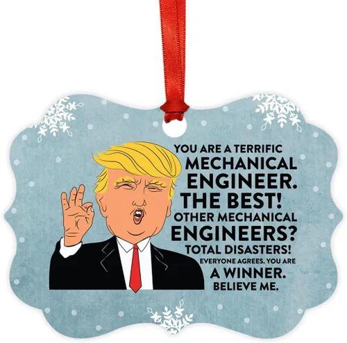 Vista 59 de Andaz Press Presidente Donald Trump Fancy Frame Recuerdo Adorno de Navidad Regalo de broma Ejecutivo de Cuenta, 1 paquete, Divertidas Ideas