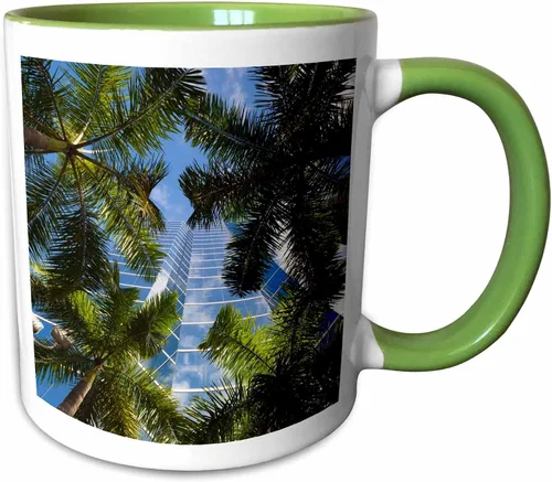 Vista 8 de 3dRose Estados Unidos, Florida, Miami, Brickell Avenue, edificios de gran altura. Taza negra de dos tonos de 11 oz