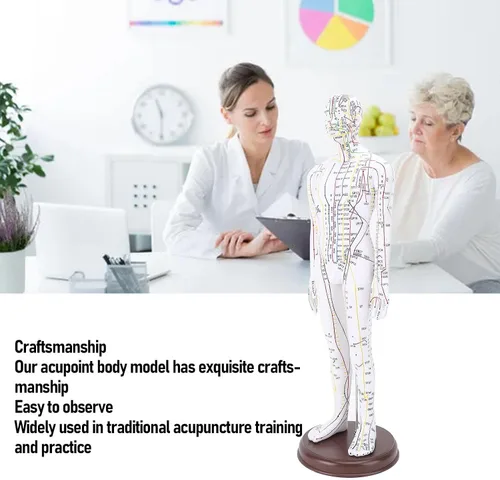 Vista 3 de Modelo de acupuntura de cuerpo humano de 20.5 in, modelo de acupuntura de punto de presión de maniquí de enseñanza de chino masculino/femenino