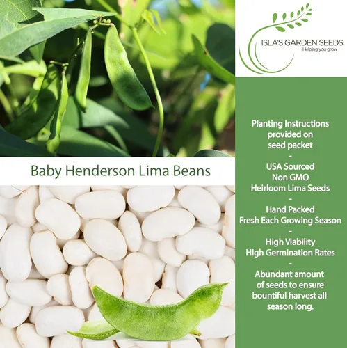 Vista 2 de Baby Henderson - Semillas de frijol Lima para plantar, más de 30 semillas tradicionales por paquete, semillas de jardín de Isla