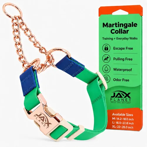 Vista 11 de Jelly - Collar para perro martingala impermeable, collar de nailon sin tirones con hebilla de metal de aleación y anillo en D para entrenamiento
