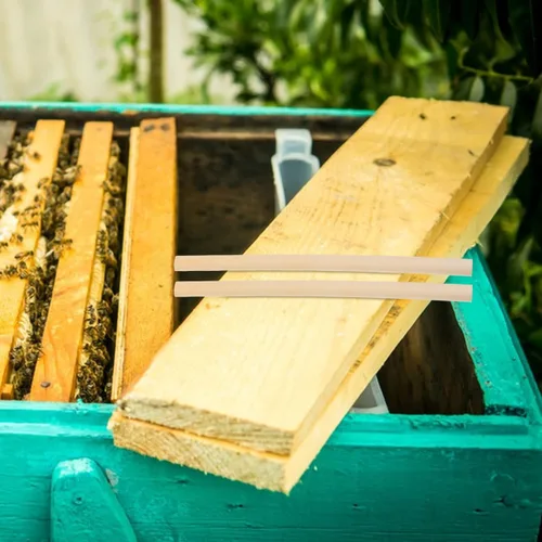 Vista 3 de GANAZONO 500 tubos de nido de abeja para nido de abeja, tubos de repuesto para casa de abejas, tubos de repuesto reemplazables para abejas, tubos