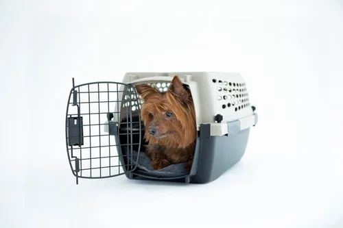 Vista 8 de Petmate Vari - Perrera/Transportadora para perros portátil apto para aerolíneas y jaulas para perros pequeños, plástico duradero, transportador