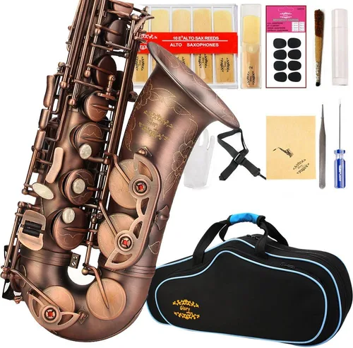 Vista 9 de Kit de cuidado para saxofón con 11 reeds, 8 para saxofón alto cojines, funda, Glory E Flat