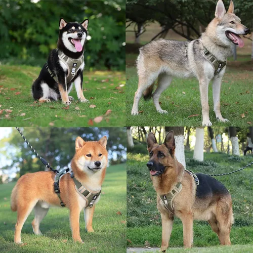 Vista 2 de Arnés para perros medianos y grandes, chaleco de servicio antitirones con asa, collar para perros pequeños y grandes, con cuello y pecho ajustables