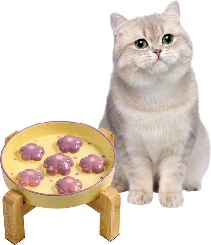 Vista 8 de Cuenco de cerámica para gatos con alimentación lenta, 6.3 pulgadas Naranja