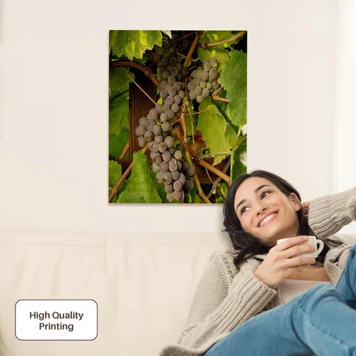 Vista 2 de 3dRose USA, Oregon, Keizer, Pinot Gris grape vineyard - US38 RBR0729 - Rick A Brown Museum Grade Canvas Wrap 16x20
