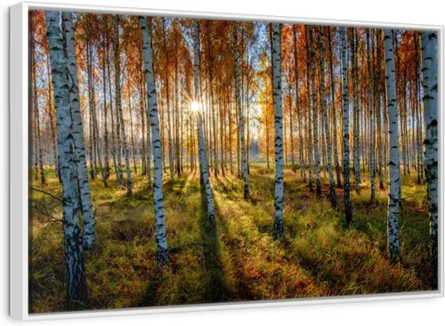 Vista 11 de ElephantStock - Swedish Birch Forest Wall Art - Horizontal Floating Framed Canvas - Hallway Wall Decor - Photography Nature Framed Canvas Art