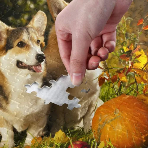 Vista 4 de Rompecabezas de perro Welsh Corgi Pembroke de 500 piezas para adolescentes y adultos, 20.5 x 14.9 pulgadas