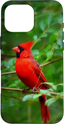 Vista 19 de Hermosa cardenal pájaro rojo escena de la naturaleza caso para iPhone 17