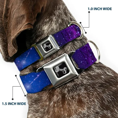 Vista 2 de Buckle-Down Collar de perro con hebilla de cinturón de seguridad, color azul galaxia/morado, 1 pulgada de ancho, se adapta a cuello de 9 a 15