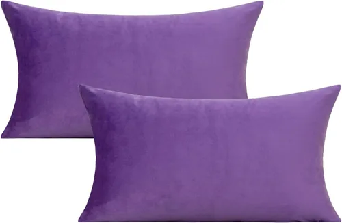 Vista 24 de VAKADO Juego de 2 fundas de almohada de terciopelo beige crema de 16 x 16 pulgadas, fundas de cojín cuadradas suaves y sólidas, decoración del hogar