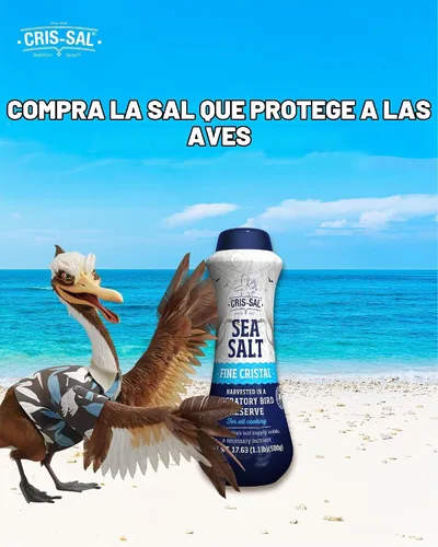 Vista 5 de Cris Sal Gourmet - Sal marina de cristal fino, 17.63 oz
