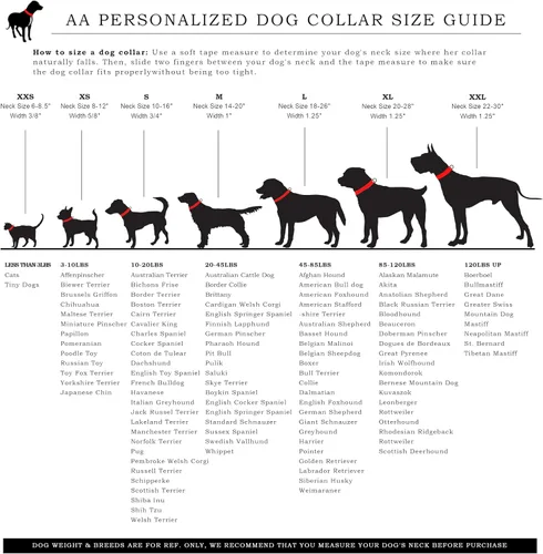 Vista 6 de Collar de perro personalizado con nombre y número de teléfono grabado, collar ajustable personalizado para cachorros, collar de algodón orgánico
