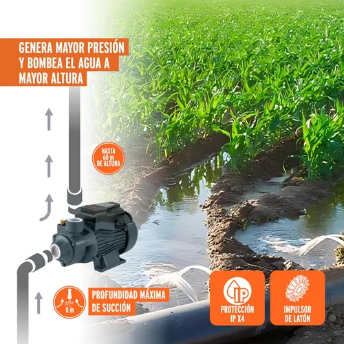 Vista 5 de Bomba periférica agua eléctrica 1HP