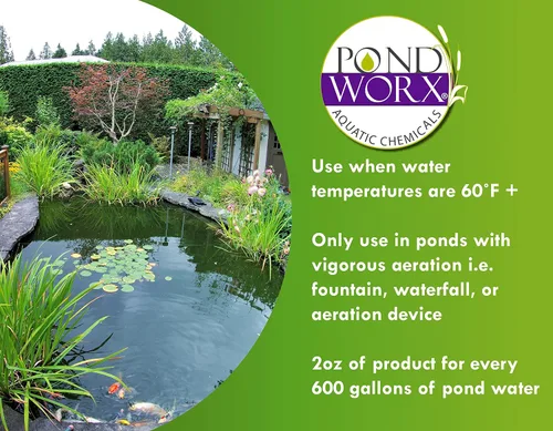 Vista 5 de Pond Worx Agua clara: la formulación concentrada mejora la claridad y calidad del agua, ayuda a limpiar el agua turbia, segura para peces, mascotas