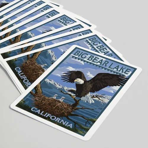 Vista 5 de Lantern Press Big Bear Lake, California, Águila calva y pollitos (52 cartas de juego de tamaño póquer, con comodines)