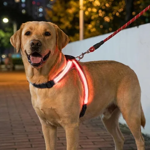 Vista 6 de Arnés reflectante con correa para perro con iluminación LED, chaleco de seguridad iluminado para perro