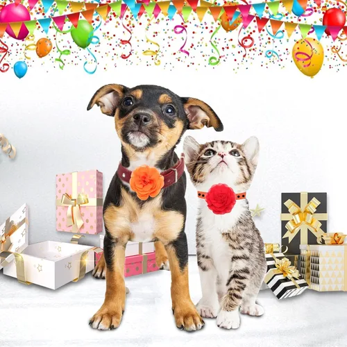 Vista 7 de Catcan 20 piezas de accesorios para collar de flores de perro, collares de flores multicolor para mascotas, 2 estilos de pajarita para perros