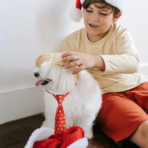 Vista 5 de Segarty Corbatas Largas para Perros, 10 PIEZAS Corbatas de Moño para Perros con Collar Ajustable, Corbatas para Mascotas Medianas y Grandes