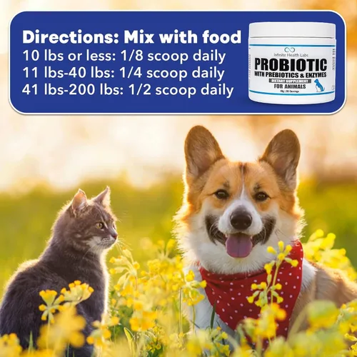Vista 6 de Probióticos para perros y gatos – Formulado por veterinarios, fabricado en Estados Unidos, prebiótico y enzimático para mascotas en polvo