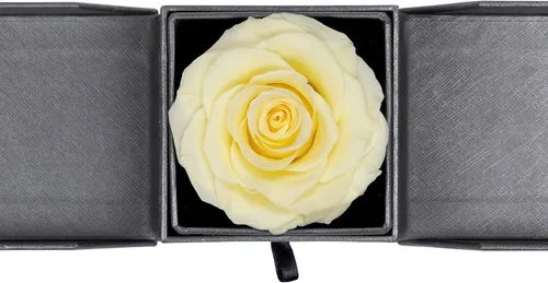 Vista 8 de Caja de regalo joyería de flores preservadas hechas a mano, diseño de rosas nunca marchitas, flores inmortales de lujo, flores eternas para seres