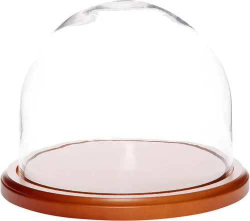 Vista 8 de Plymor Cúpula de cristal de 8 x 6.5 pulgadas (base de madera MDF negra)