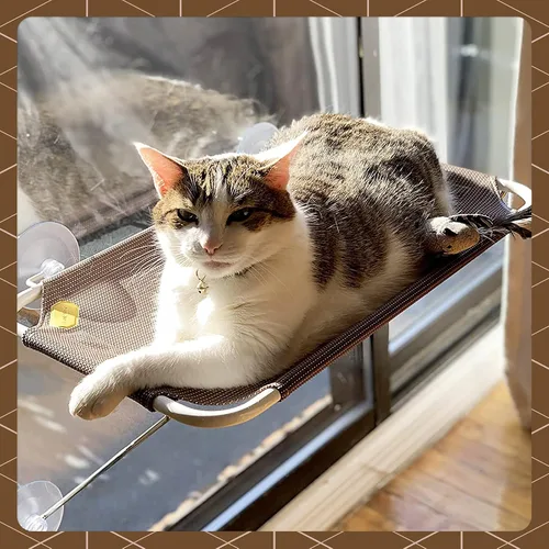 Vista 5 de Percha de seguridad para ventana de gato, con soporte inferior de 360 °, para cualquier gato