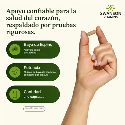 Vista 3 de Swanson Premium Hawthorn bayas 0.019 oz, catidad 250, SW773, paquete de de 1, 1, 1