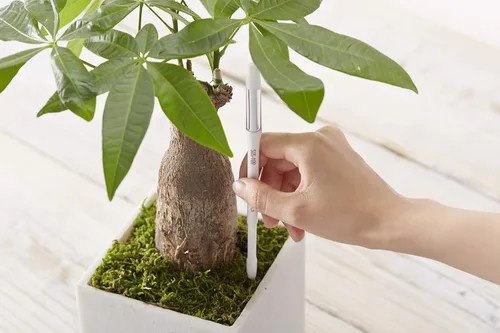 Vista 4 de Sustee Aquameter, White, Medium -Soil Moisture Meter for Potted Plants - Plant Water Sensor (Refillable Style)