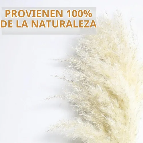 Vista 4 de 10 piezas de decoración de hierba de las pampas beige, hierba de las pampas secas naturalmente, colas de conejo, flores secas y eucalipto seco.