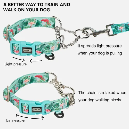 Vista 2 de Martingale - Collar para perro con cadena de acero y hebilla de liberación rápida, ajustable, floral, sin tirones, collares de entrenamiento Flamenco