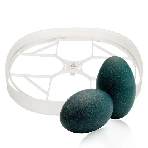 Vista 7 de Bandeja de huevos duradera para incubadora de huevos Nurture Right 360, 48 huevos de codorniz/pájaro