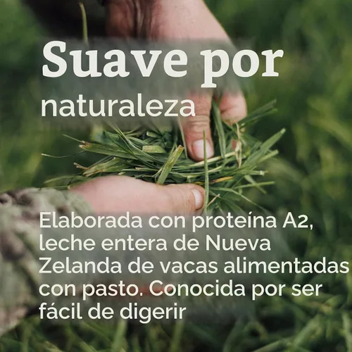 Vista 7 de Haven Fórmula A2 Cow para niños pequeños, leche entera, 12+ meses, 14.1