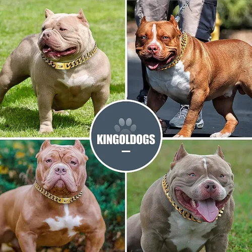 Vista 7 de Collar de cadena de oro para perro, collar de cadena de metal de 18 quilates, collar de perro con eslabones cubanos con diseño de hebilla segura