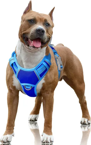 Vista 96 de BARKBAY Arnés para Perro Sin Tirones Talla Grande Arnés Reflectante para Perro con Clip Frontal y Asa de Control Fácil para Caminar Entrenar Correr