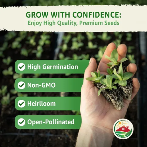 Vista 4 de TKE Farms & Gardens - Semillas de apio Utah 52-70 para plantar, reliquia, sin OMG, más de 2500 semillas, paquete de 0.04 oz, ideal para huertos