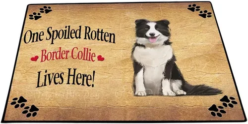 Vista 19 de Doggie of the Day Border Collie Dogs Floor Mat - 4th of July Independence Day - Best Dog Doormat - Protector Decor - Unique Portrait Art - Premium