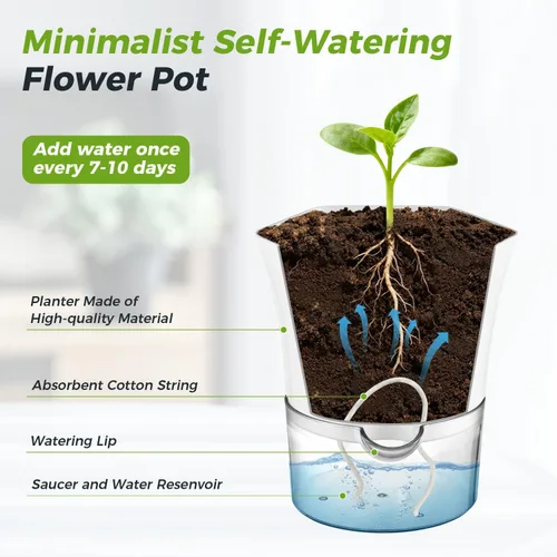 Vista 4 de Paquete de 3 macetas transparentes de riego automático de 7.8 pulgadas para plantas de interior, macetas hexagonales grandes con riego automático