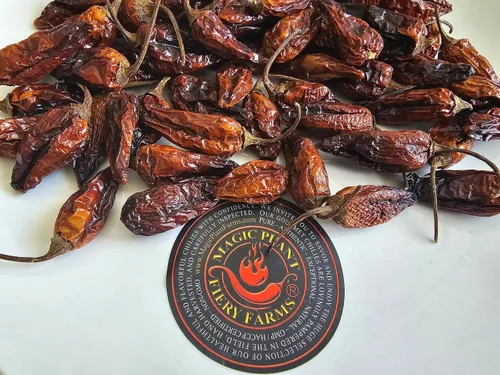 Vista 4 de Magic Plant 's Orange Datil - Cápsulas enteras secadas con datil fascinante y raro - Dulzura única y picante picante picante a diferencia de otros