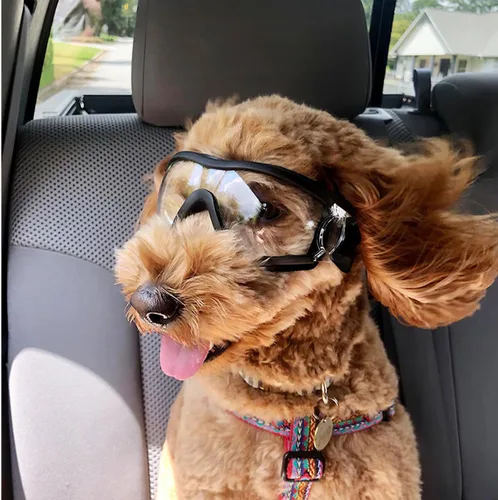 Vista 9 de ULTECHNOVO Gafas para mascotas resistentes al viento, para caminar al aire libre, correr y deportes, gafas protectoras contra los rayos UV